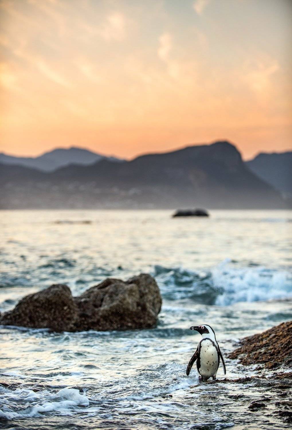 , Сергей Урядников