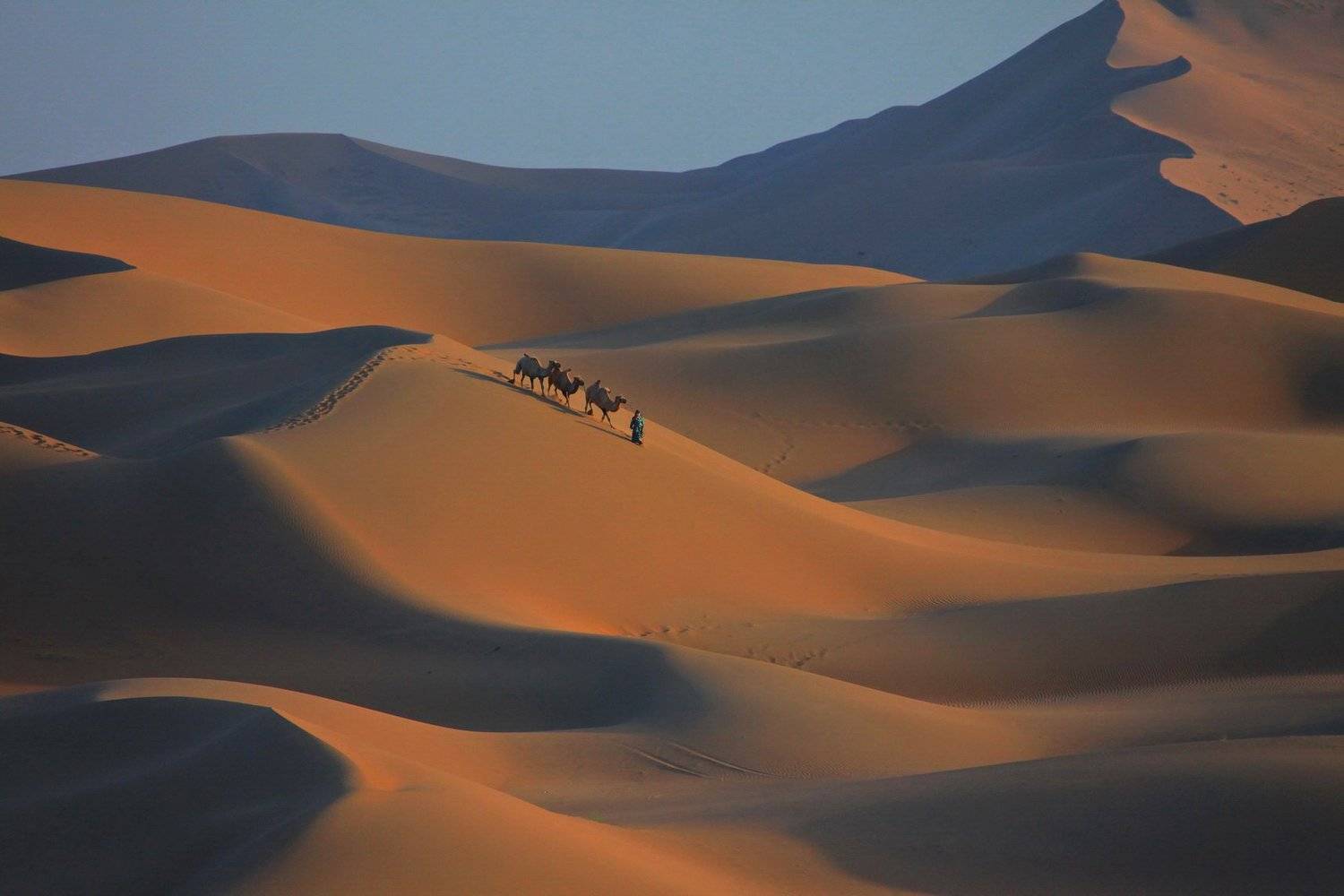 , Inkol Yu  유인걸