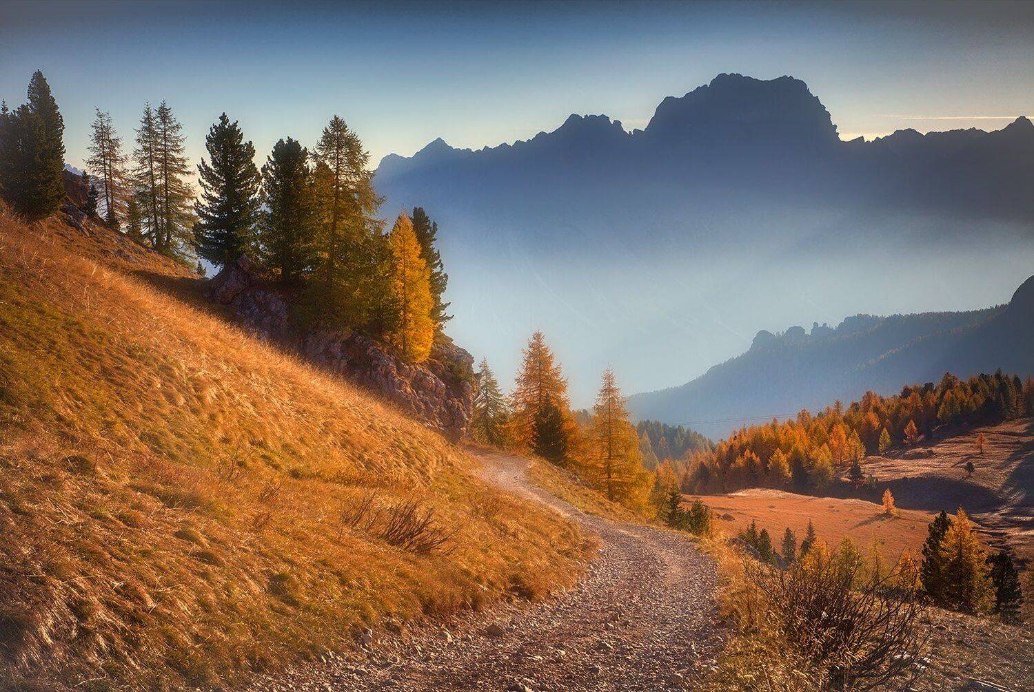 , Игорь Дубровский