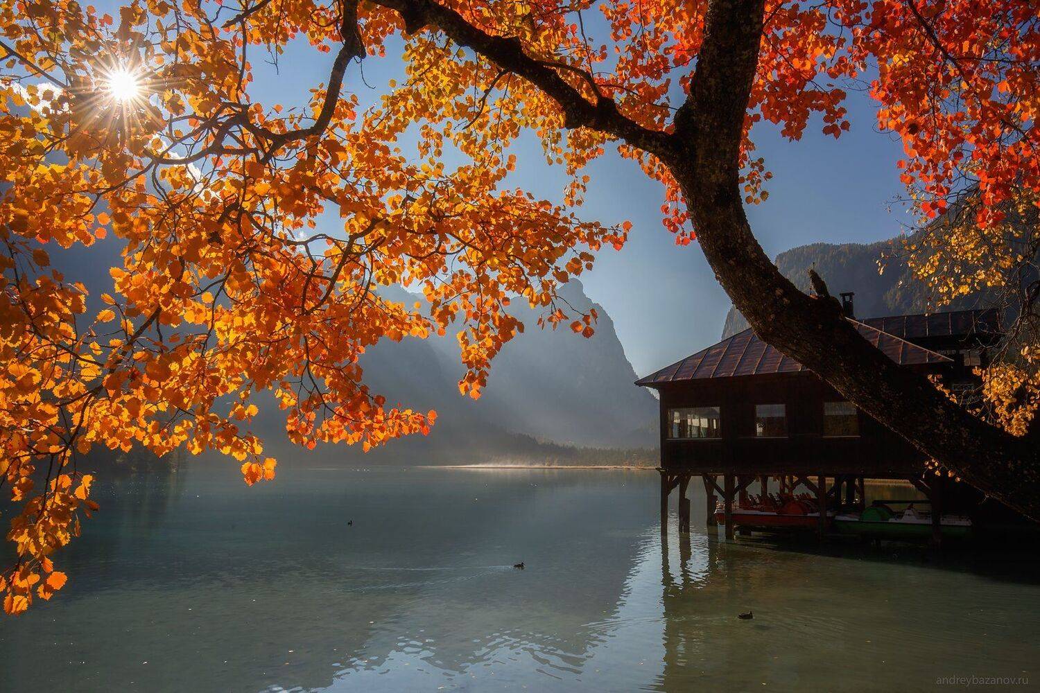 , Андрей Базанов