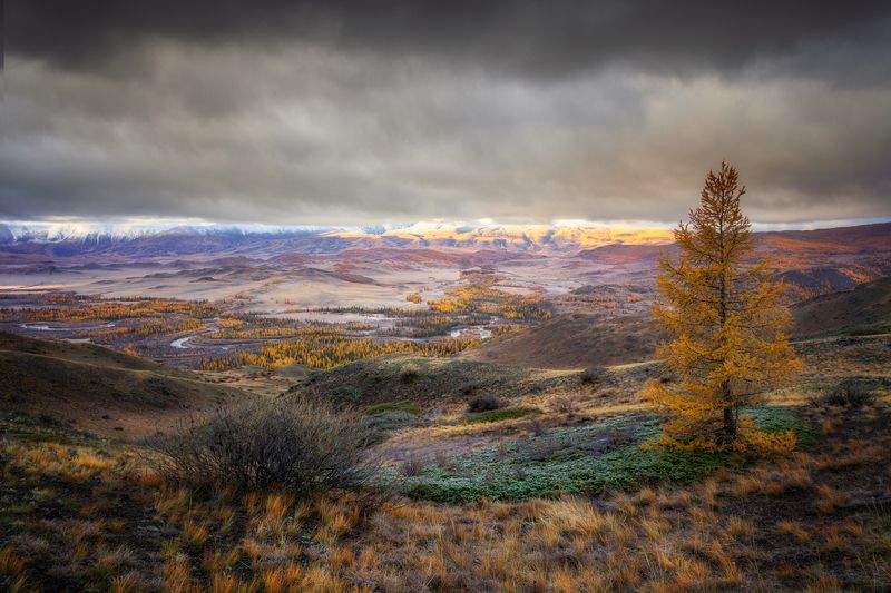 утро,курай,степь,рассвет,лиственница,горы,тучи,облака,солнце,чуя,река,склоны,сопки Утро в Курайской степи... фото превью