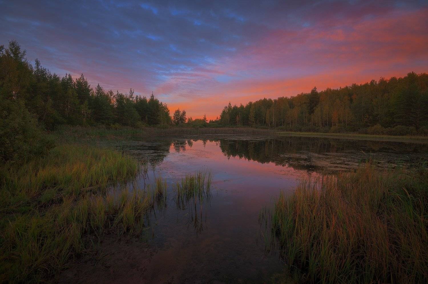 , Иван Мухин