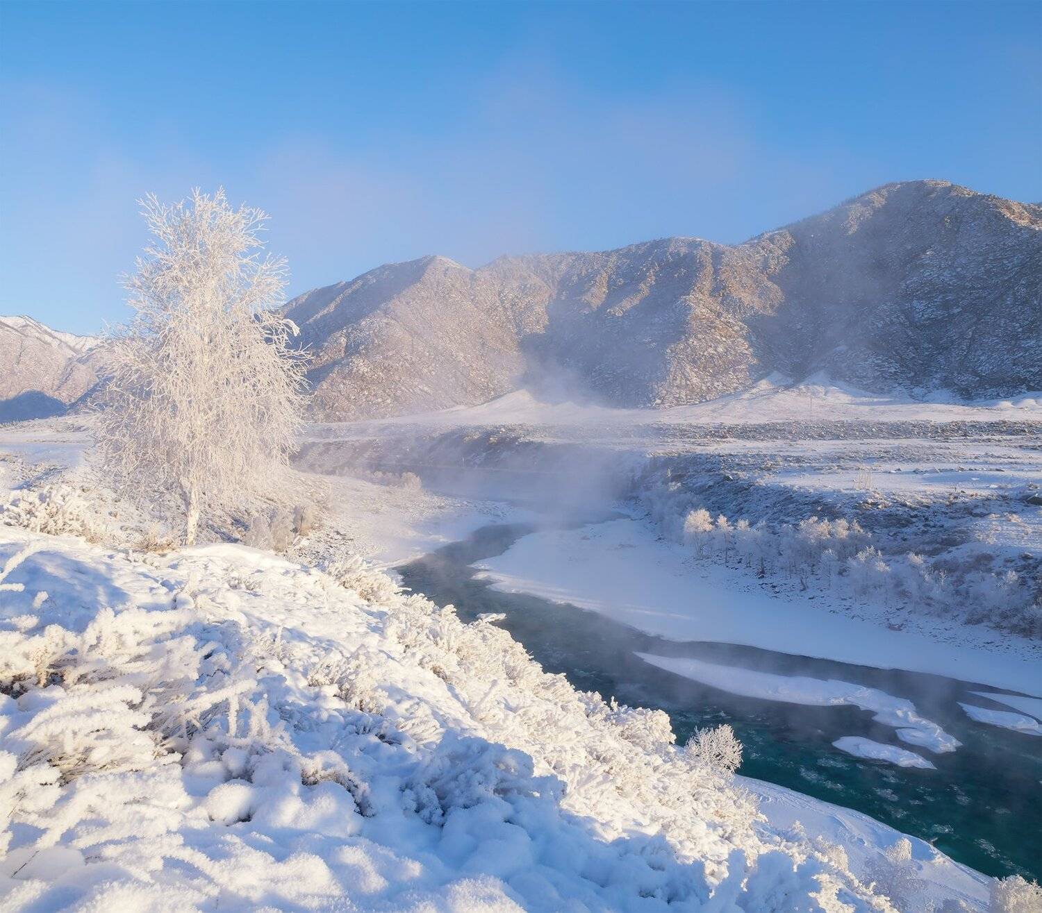 , Лещёнок Александр