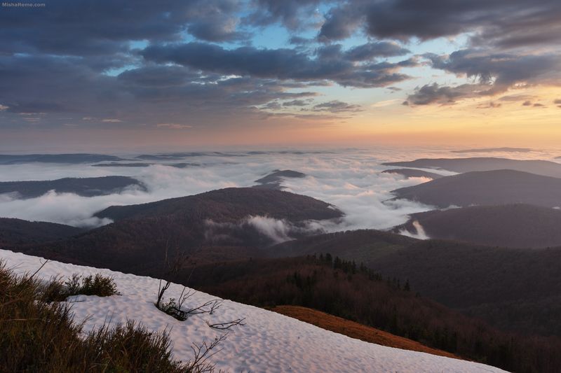 Foggy morning... фото превью