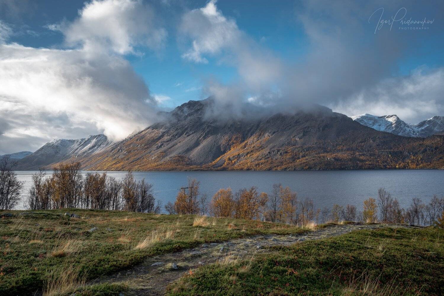 , Игорь Приданников