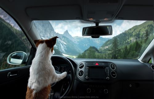 Путешественница 