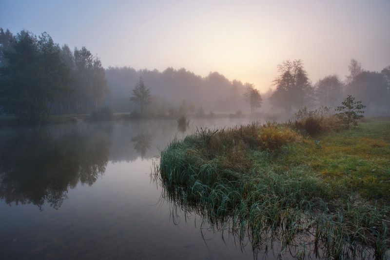 утро, осень, туман, рассвет, тишина, минск, беларусь Пробуждение фото превью