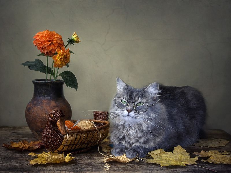 Рукодельница фото превью