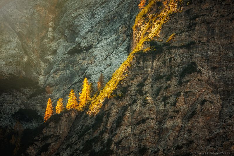 dolomites, dolomiti, italy, italia, amore, lago, braies, alps, landscape, light, rocks, mountains, shadows, beautiful, trees Painted with light фото превью