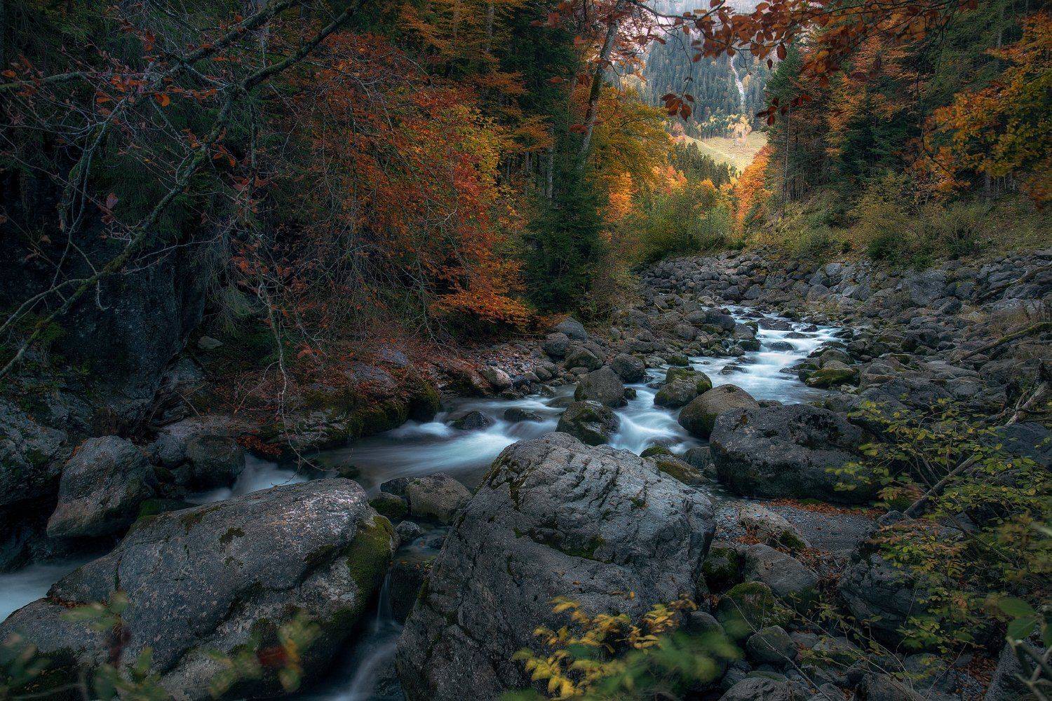switzerland. alps. montains, Andris