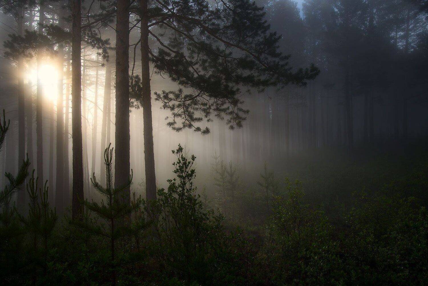 , Сергей Брагин