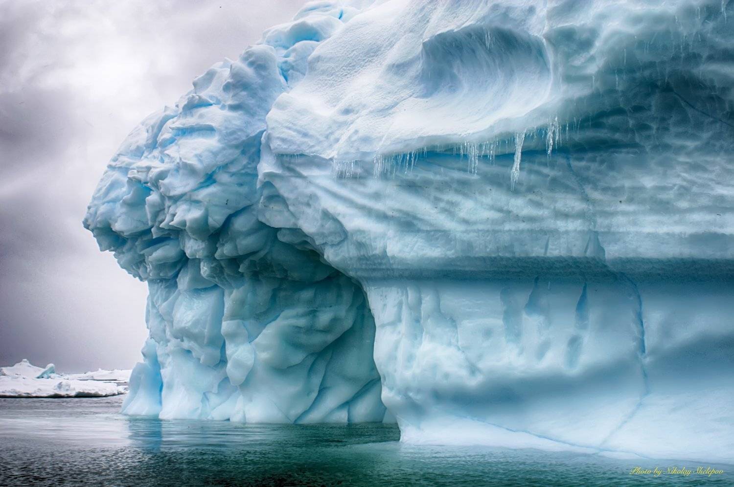 , Николай Шелепов