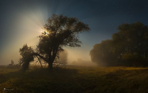 Магия заповедной земли