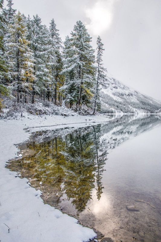 алтай,осень заснеженным утром в зеркале воды фото превью