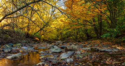 Путешествие в дикую осень.