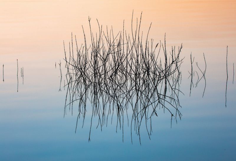 A Simple Complication фото превью