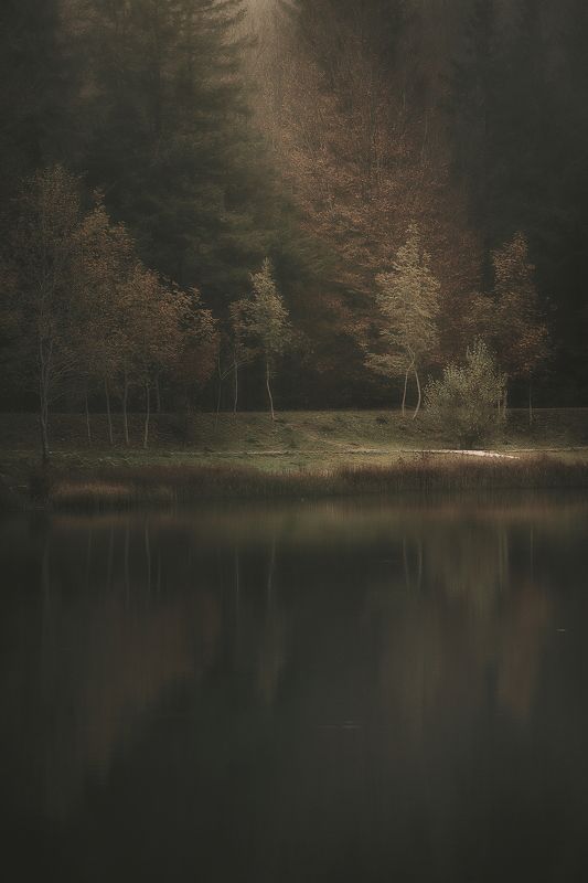 lake  light foliage Pranda Lake фото превью