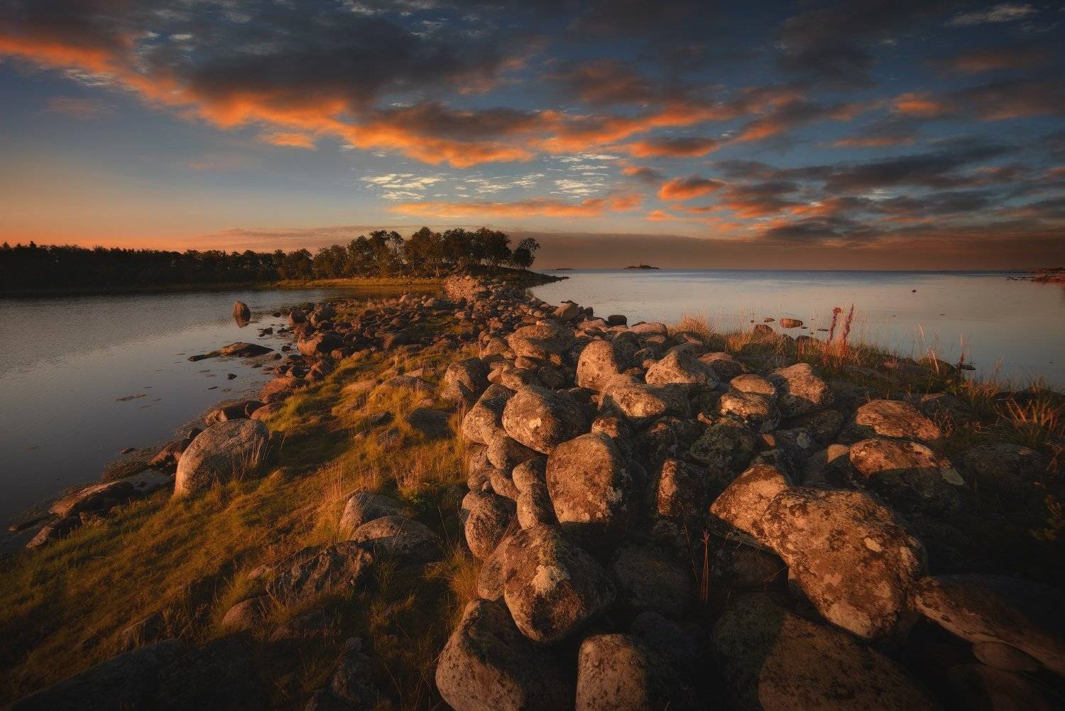 #dervod #drevo #Соловки #Филипповскиесадки, Демид Волков