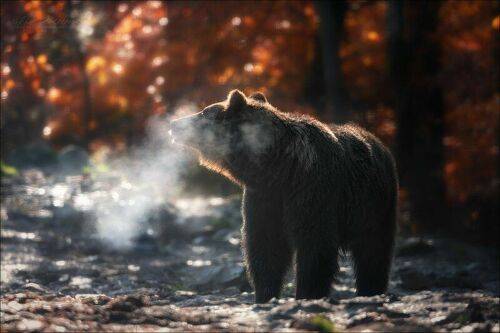 Winter Is Coming ..