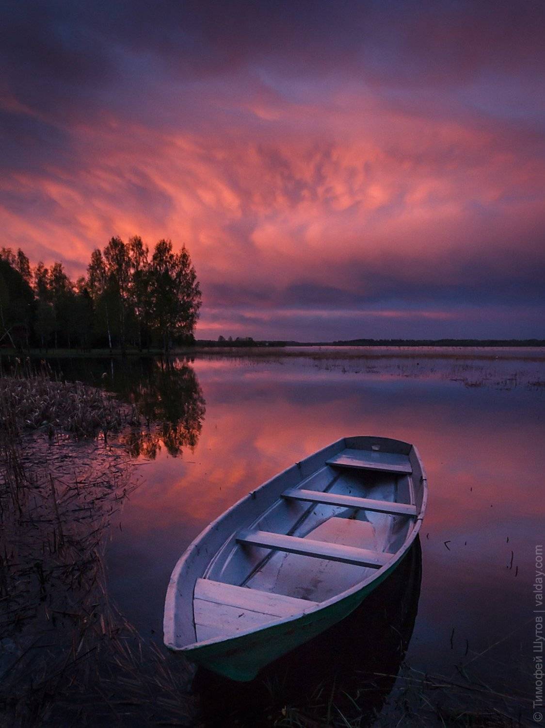валдай, Тимофей Шутов