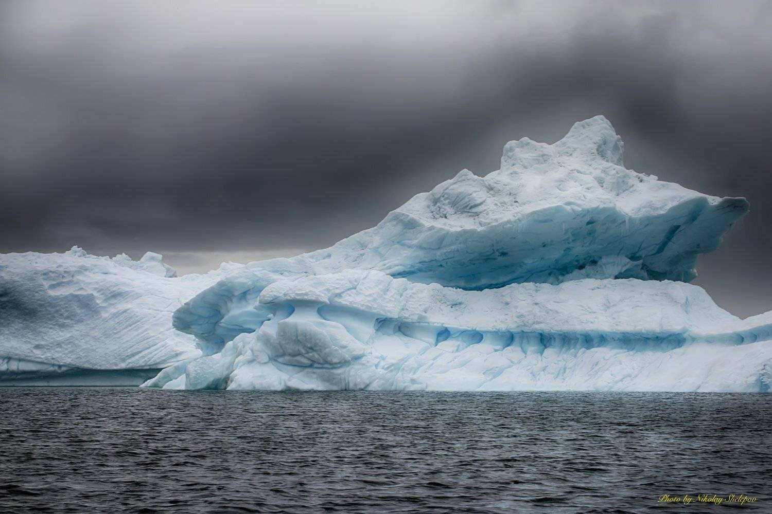 , Николай Шелепов