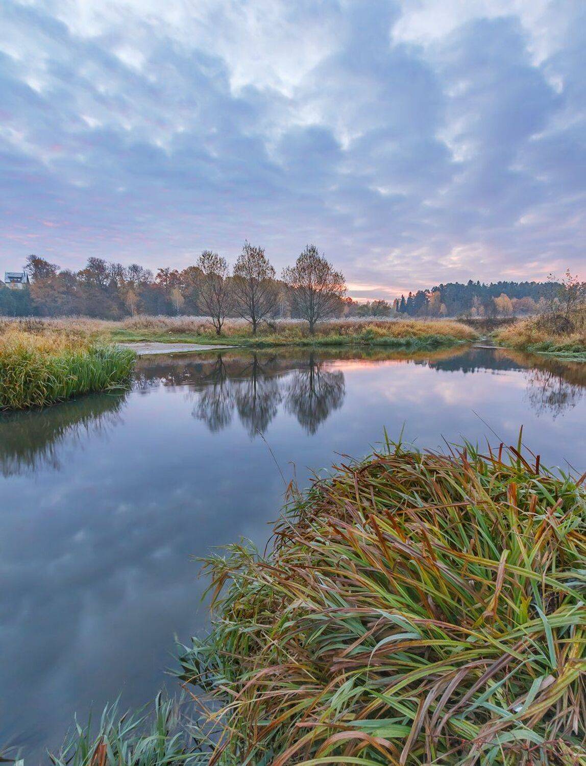 , Николай Андреев