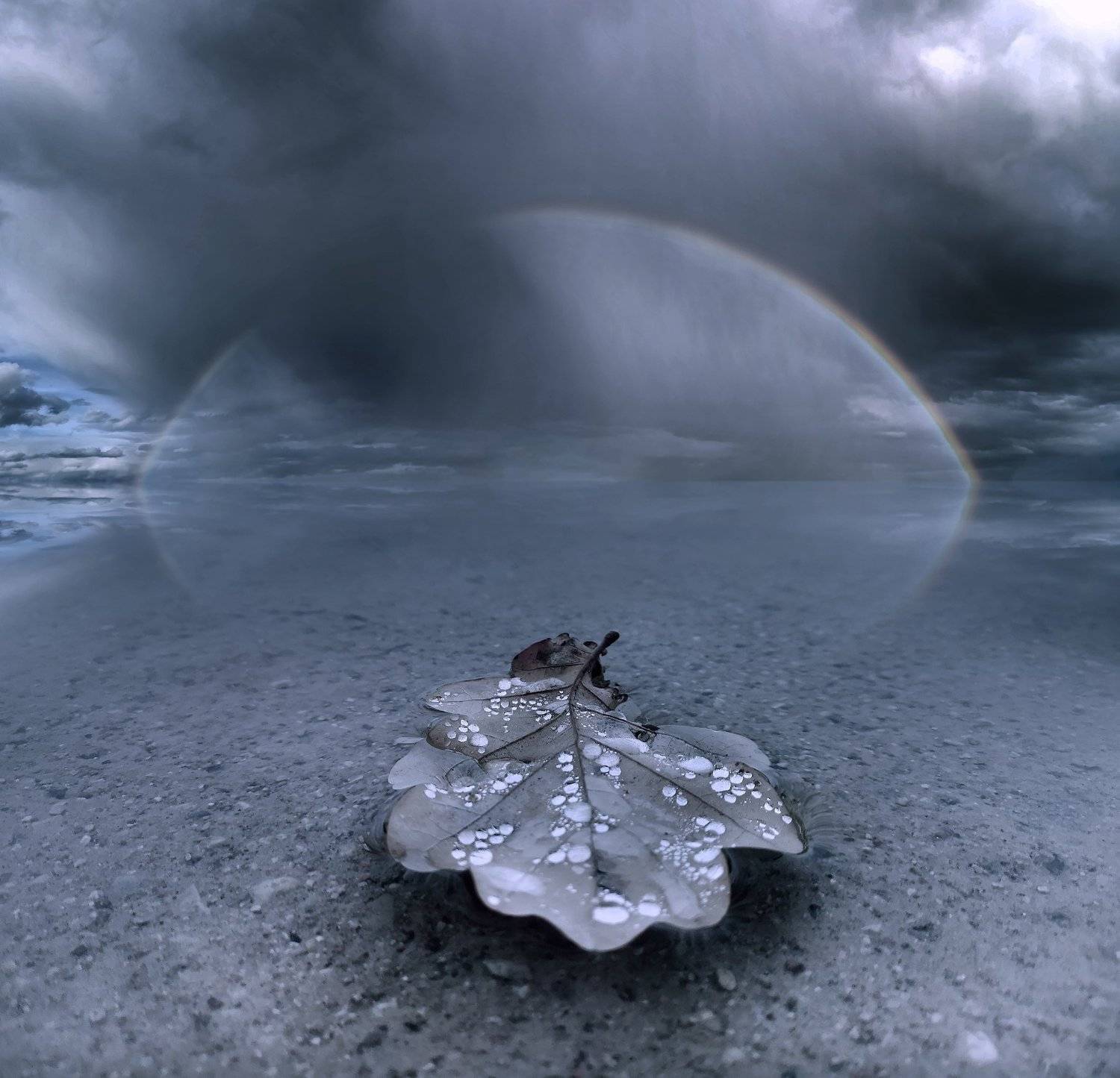 Lithuania, leaf, rainbow, sky, clouds, rain, lake, autumn, Mindaugas Žarys