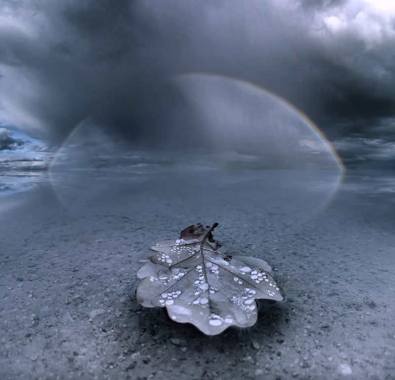 Lithuania, leaf, rainbow, sky, clouds, rain, lake, autumn * фото превью