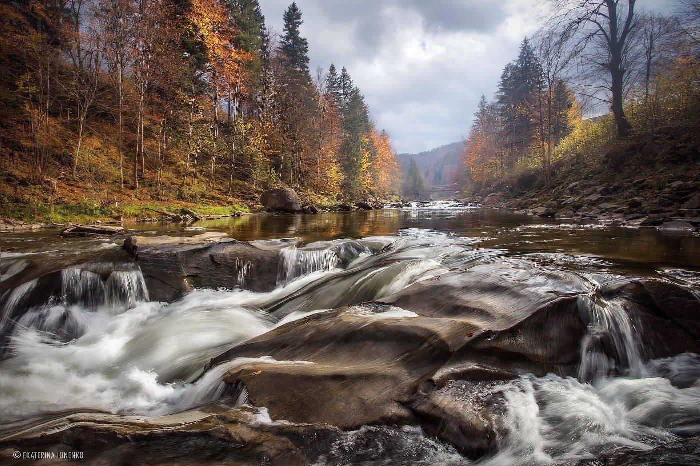 , Екатерина Ионенко