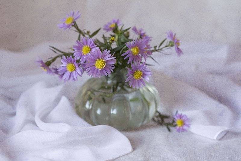 , Марина Кулакова