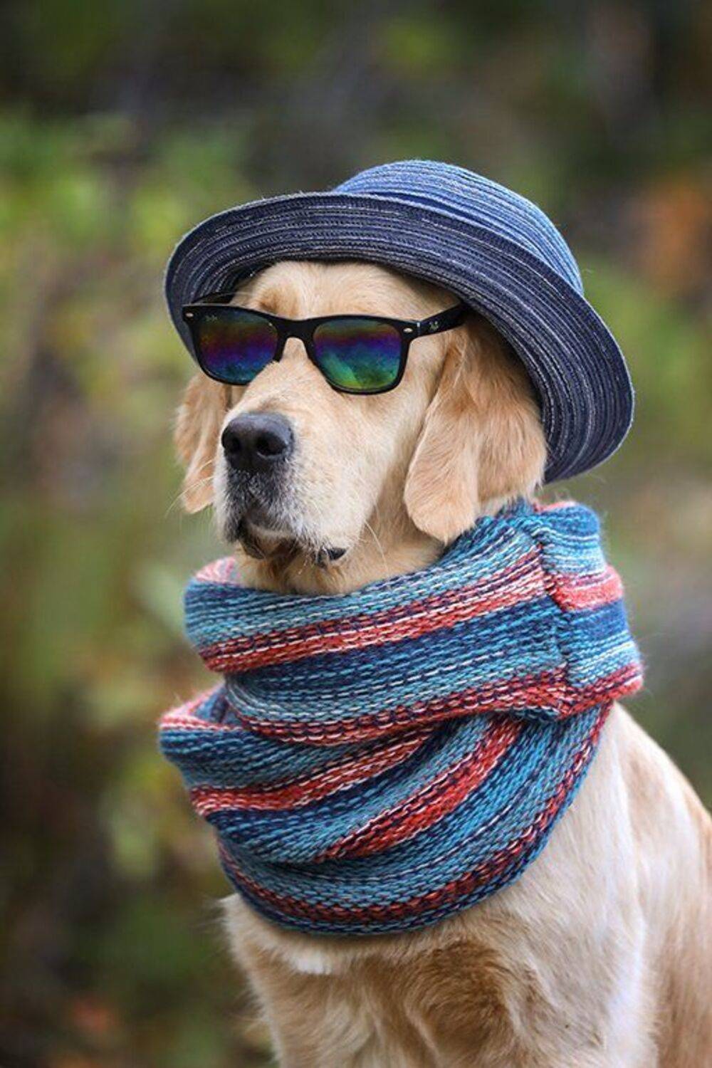 , Андрей Ершов