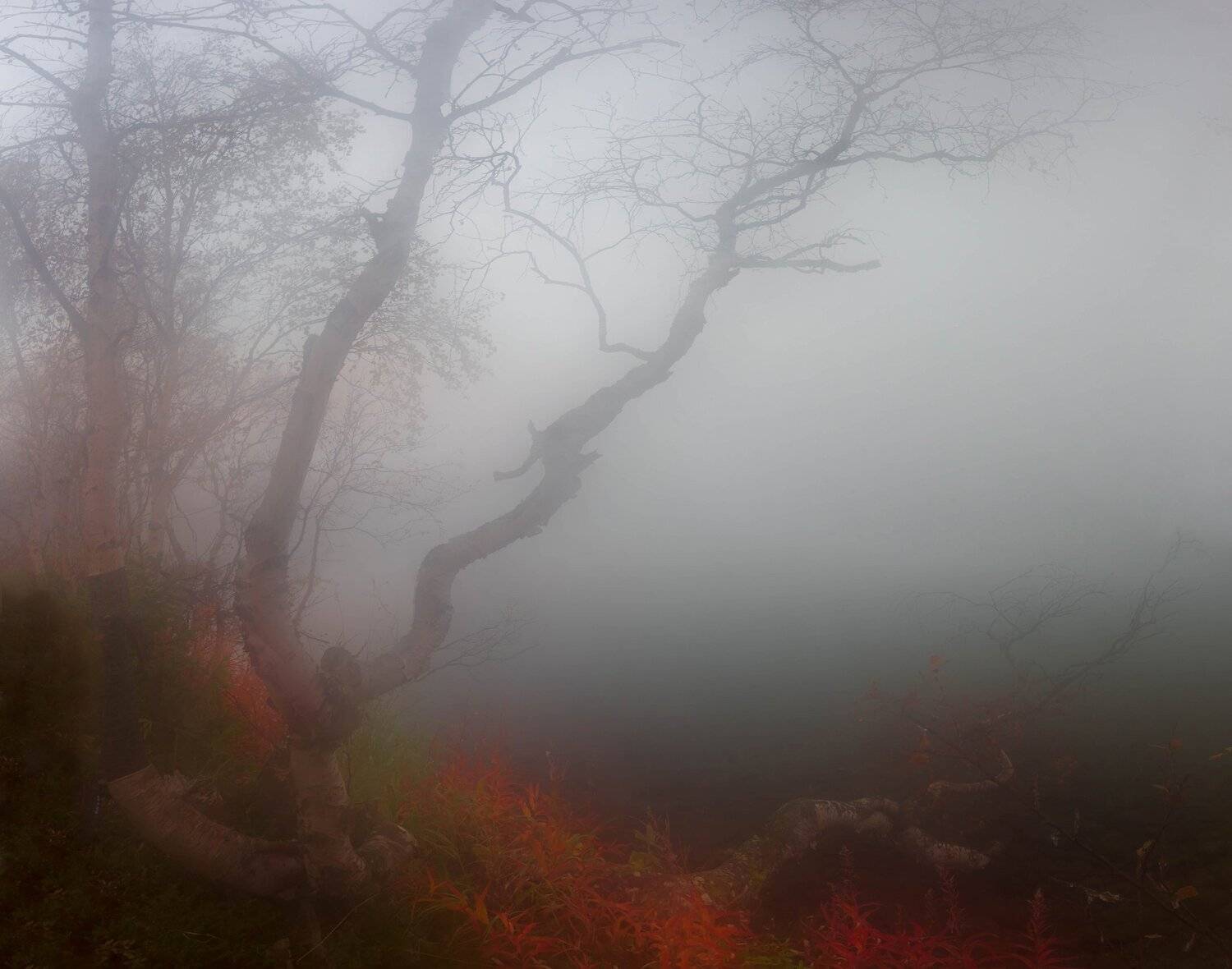 хибины, кольский, вудъявр, Павел Ващенков