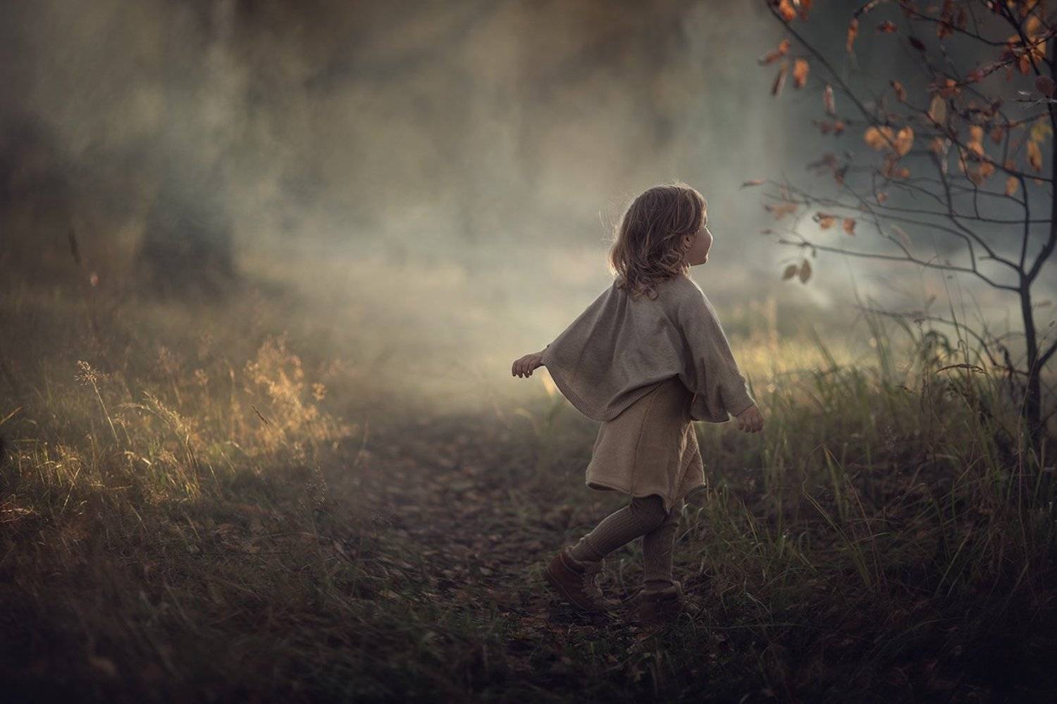 , Дарья Степанова