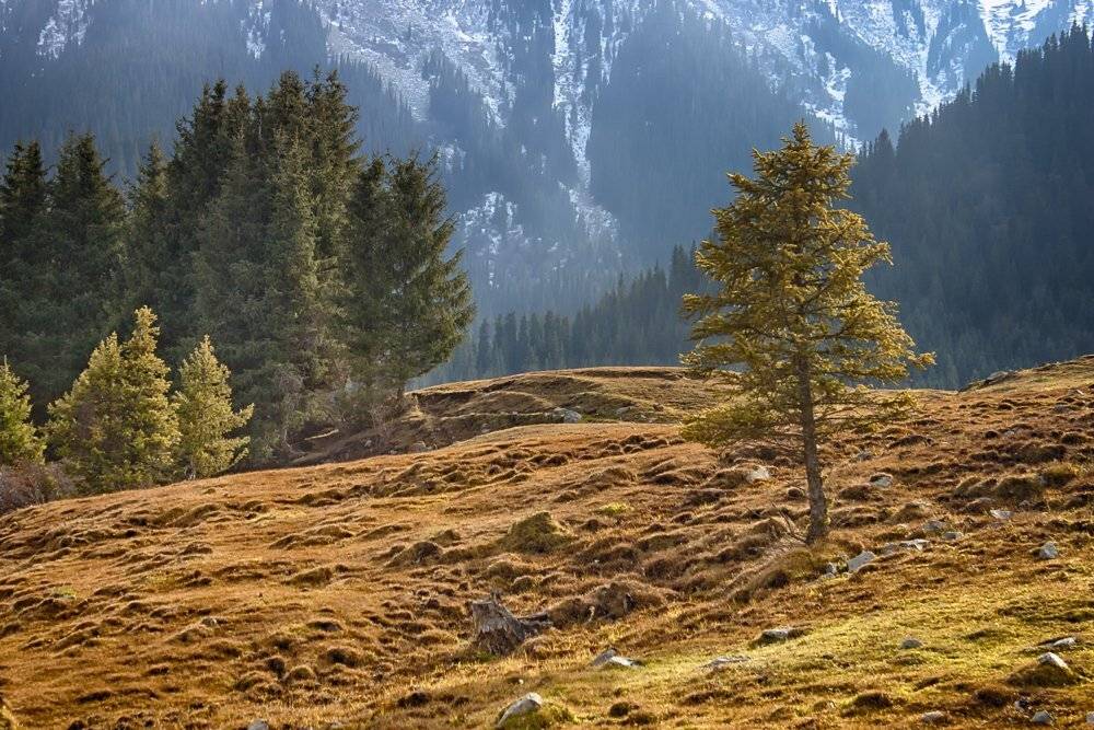 кыргызстан, горы, Элина Магалимова