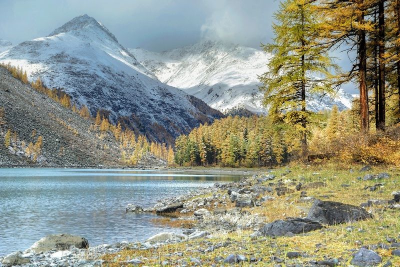 алтай,осень осенняя Шавла фото превью