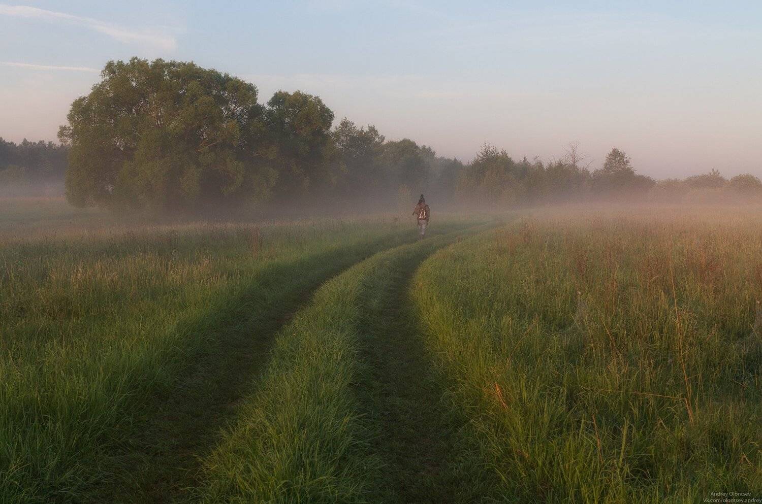 на фотоохоту., Андрей Олонцев