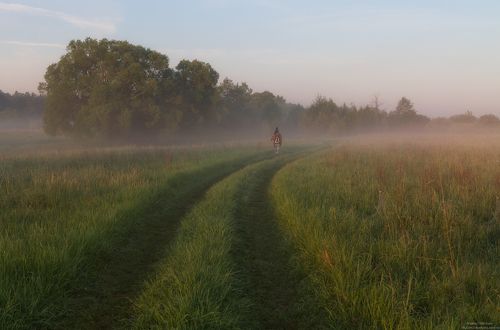 На фотоохоту.