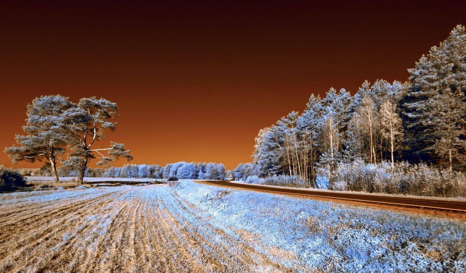 infrared,ик-фото,инфракрасное фото,инфракрасная фотография,пейзаж,природа,беларусь,осень, Sixten ( Сергей )