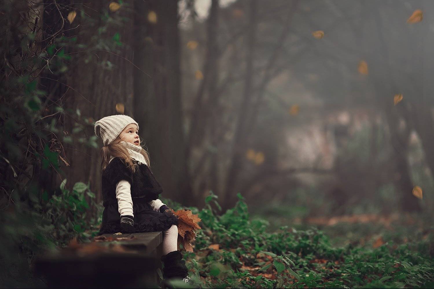 осенние мечты, Александр Калинин