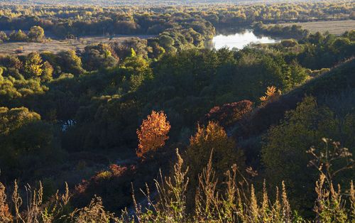 Осенний вечер