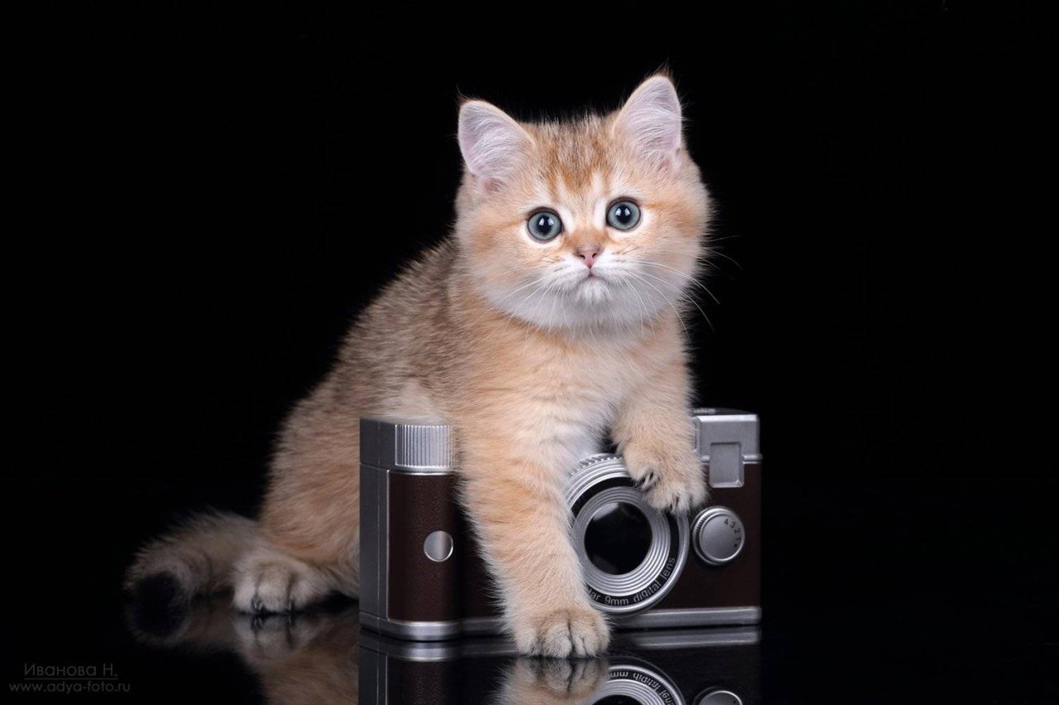 , Надежда Иванова