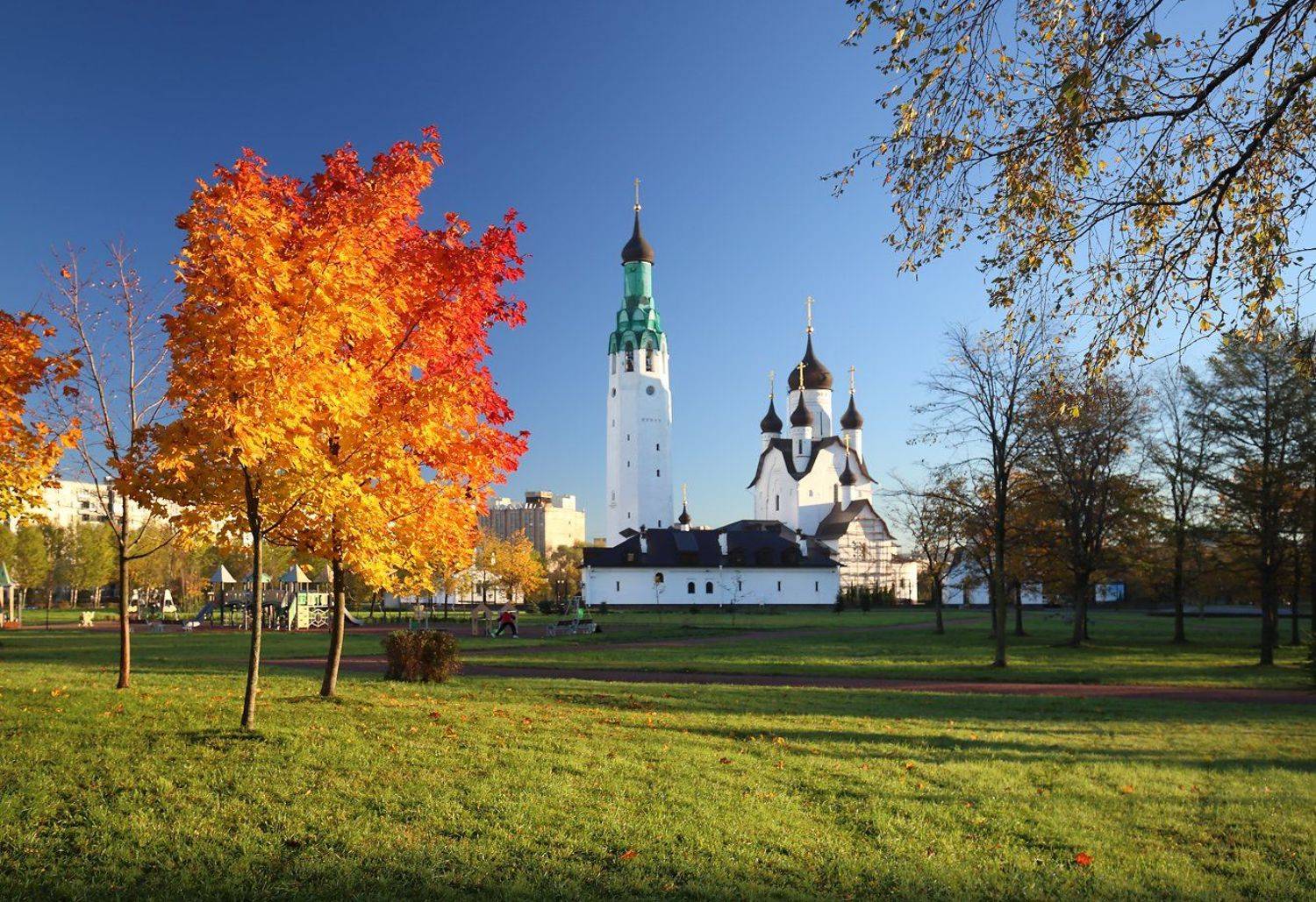 , Николай Бобов