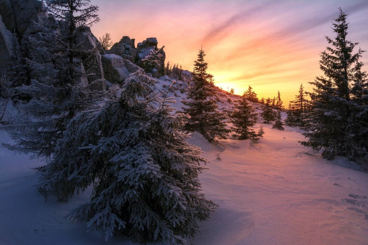 , Андрей Шарапов