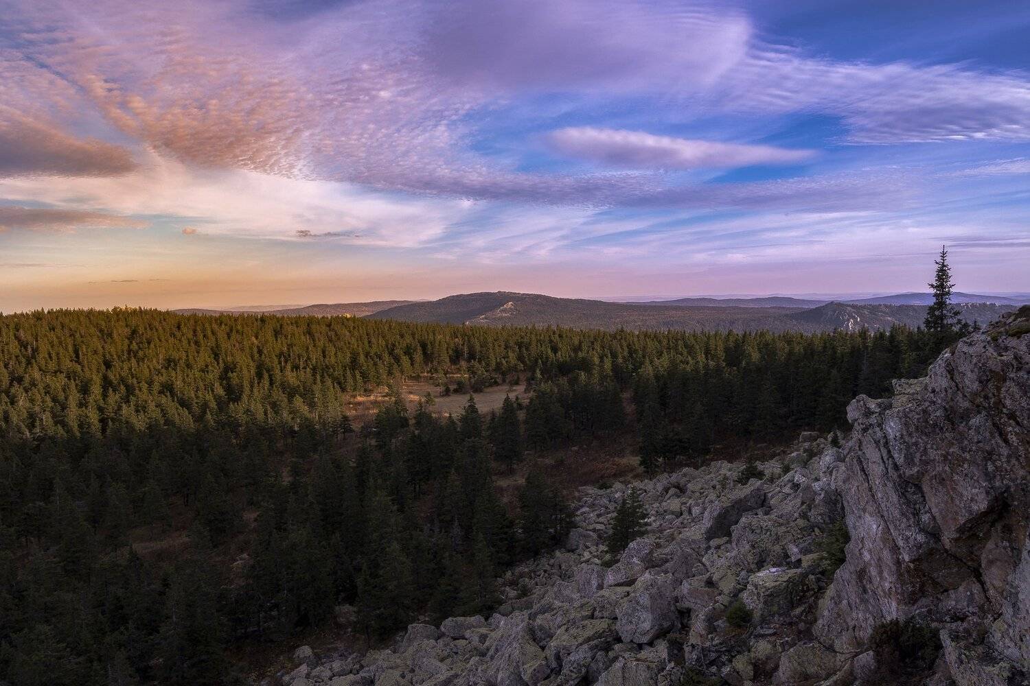 , Андрей Шарапов