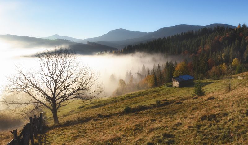 горы, туман, осень, утро Утро в Ясинях. фото превью