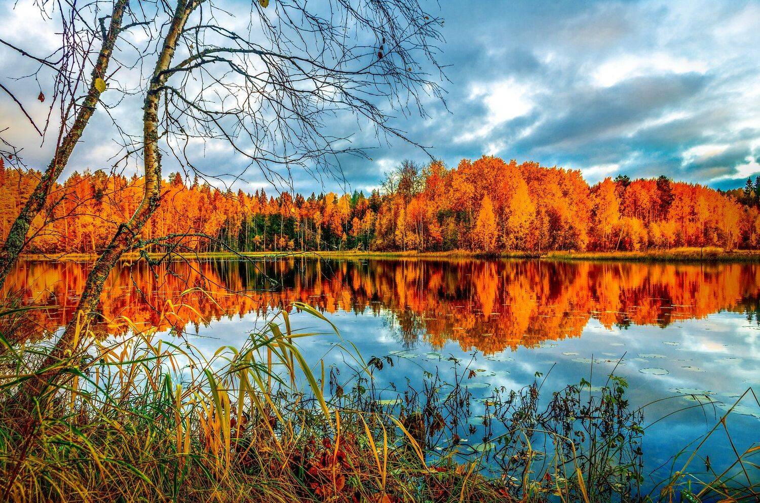 , Олег Авдеев