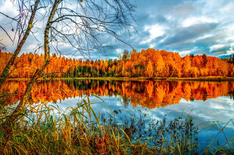 *** фото превью