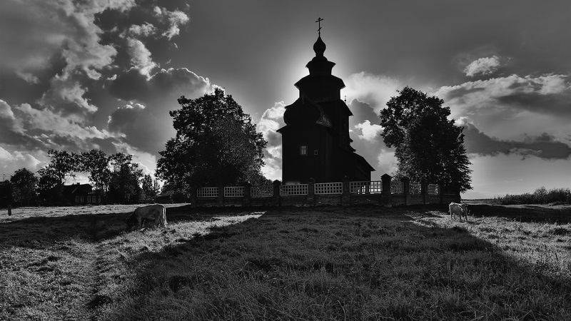 Собаки Баскервилей. фото превью