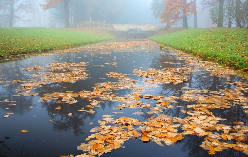 Misty autumn morning ... фото превью