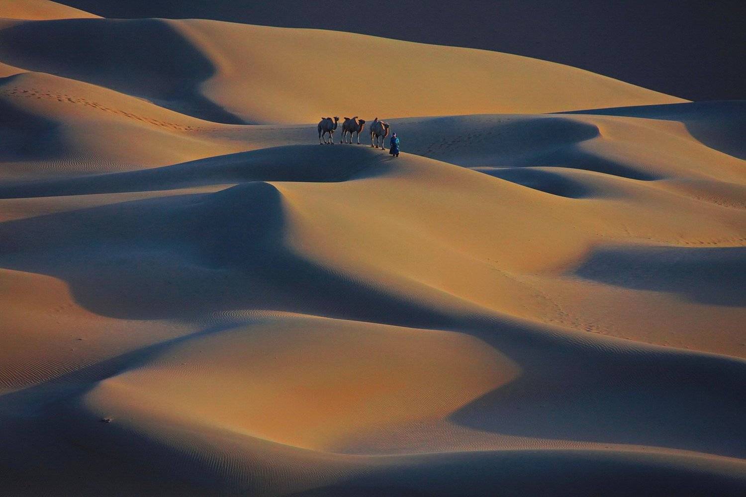 , Inkol Yu  유인걸